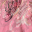 Ciclamen